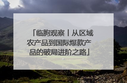 临朐观察丨从区域农产品到国际爆款产品的破局进阶之路