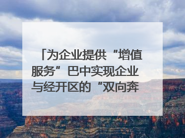 为企业提供“增值服务”巴中实现企业与经开区的“双向奔赴”｜川陕渝网络名人巴中行