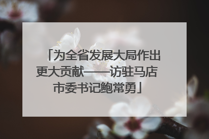 为全省发展大局作出更大贡献——访驻马店市委书记鲍常勇