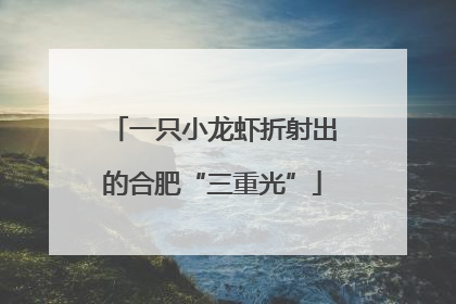 一只小龙虾折射出的合肥“三重光”