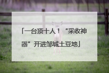 一台顶十人！“采收神器”开进邹城土豆地