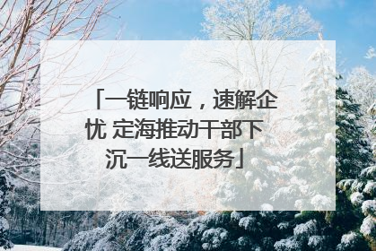 一链响应，速解企忧 定海推动干部下沉一线送服务