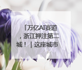 万亿AI赛道，浙江押注第二城！｜这座城市有点东西