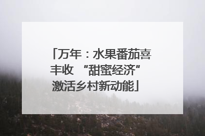 万年：水果番茄喜丰收 “甜蜜经济”激活乡村新动能
