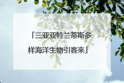 三亚亚特兰蒂斯多样海洋生物引客来