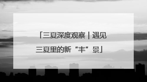 三夏深度观察｜遇见三夏里的新“丰”景