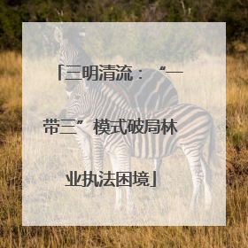 三明清流：“一带三”模式破局林业执法困境