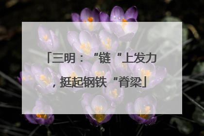 三明：“链“上发力，挺起钢铁“脊梁