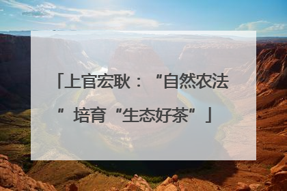 上官宏耿：“自然农法”培育“生态好茶”