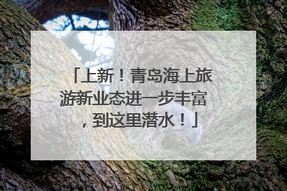 上新！青岛海上旅游新业态进一步丰富，到这里潜水！