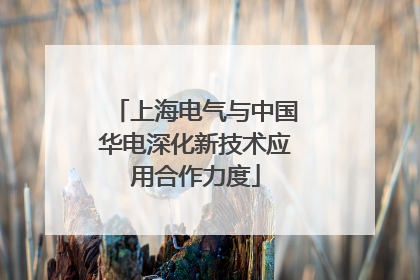 上海电气与中国华电深化新技术应用合作力度