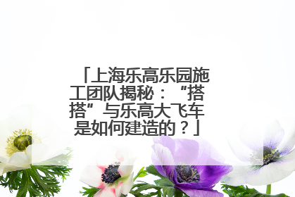 上海乐高乐园施工团队揭秘：“搭搭”与乐高大飞车是如何建造的？