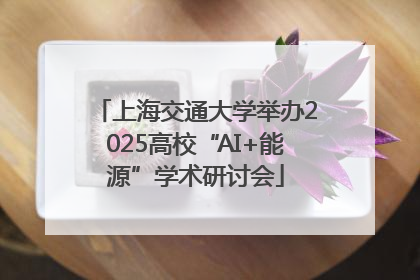 上海交通大学举办2025高校“AI+能源”学术研讨会