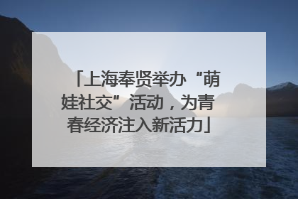 上海奉贤举办“萌娃社交”活动，为青春经济注入新活力