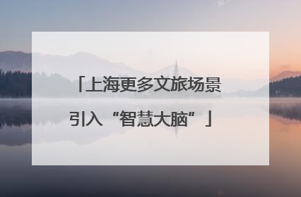 上海更多文旅场景引入“智慧大脑”