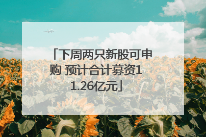 下周两只新股可申购 预计合计募资11.26亿元