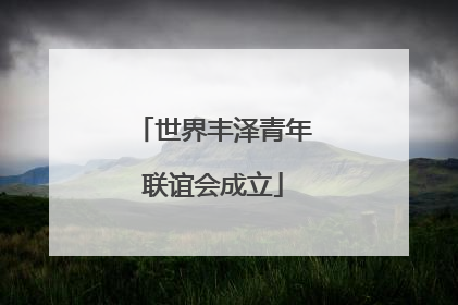 世界丰泽青年联谊会成立