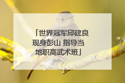 世界冠军邱建良现身彭山 指导当地职高武术班