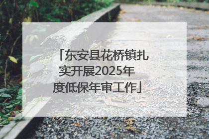 东安县花桥镇扎实开展2025年度低保年审工作