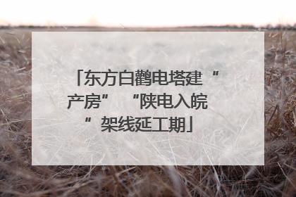 东方白鹳电塔建“产房” “陕电入皖”架线延工期