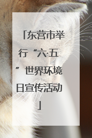 东营市举行“六·五”世界环境日宣传活动