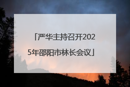 严华主持召开2025年邵阳市林长会议