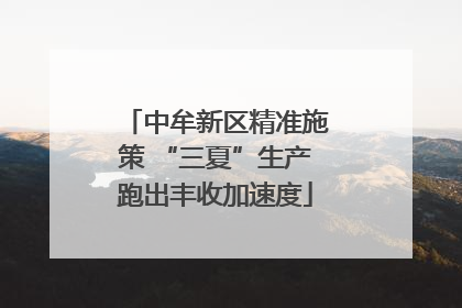 中牟新区精准施策 “三夏”生产跑出丰收加速度