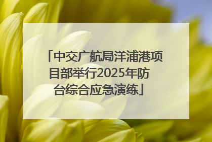 中交广航局洋浦港项目部举行2025年防台综合应急演练