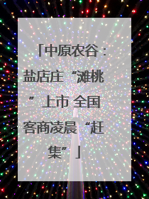 中原农谷：盐店庄“滩桃”上市 全国客商凌晨“赶集”