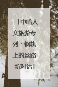 中哈人文旅游专列：钢轨上的丝路新对话