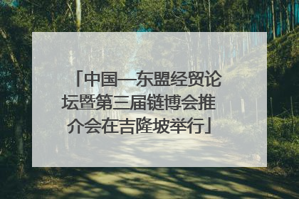 中国—东盟经贸论坛暨第三届链博会推介会在吉隆坡举行