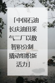 中国石油长庆油田采气二厂以数智积分制 撬动组织新活力