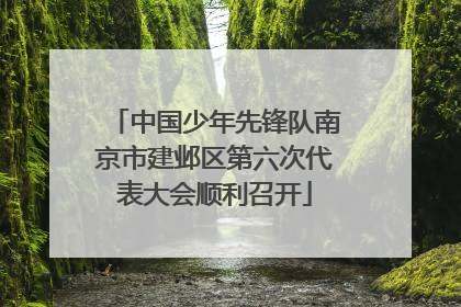 中国少年先锋队南京市建邺区第六次代表大会顺利召开