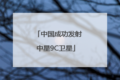 中国成功发射中星9C卫星
