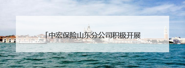 中宏保险山东分公司积极开展《信访工作条例》宣传月活动