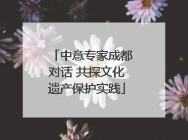 中意专家成都对话 共探文化遗产保护实践