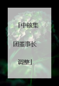 中核集团董事长调整