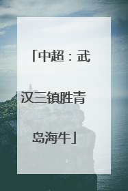 中超：武汉三镇胜青岛海牛
