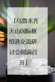 乌鲁木齐天山国际枢纽港交流研讨会圆满召开
