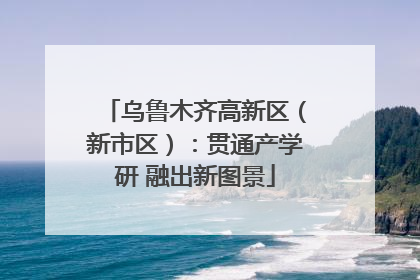 乌鲁木齐高新区（新市区）：贯通产学研 融出新图景
