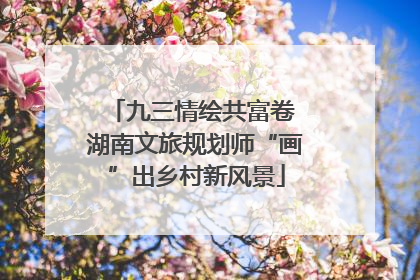 九三情绘共富卷 湖南文旅规划师“画”出乡村新风景