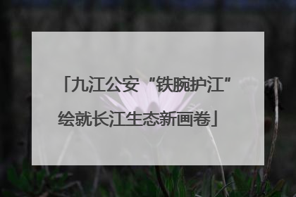 九江公安“铁腕护江”绘就长江生态新画卷