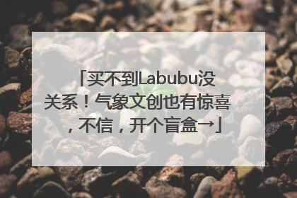 买不到Labubu没关系！气象文创也有惊喜，不信，开个盲盒→