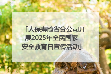 人保寿险省分公司开展2025年全民国家安全教育日宣传活动