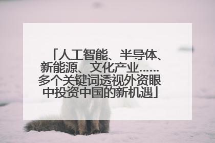 人工智能、半导体、新能源、文化产业……多个关键词透视外资眼中投资中国的新机遇