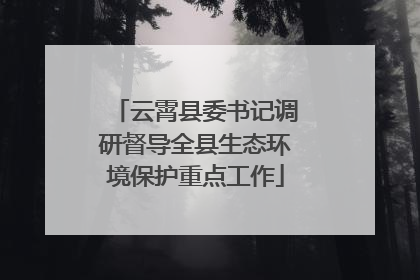 云霄县委书记调研督导全县生态环境保护重点工作