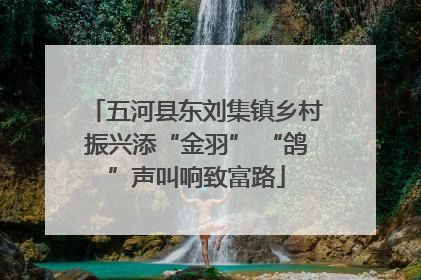 五河县东刘集镇乡村振兴添“金羽” “鸽”声叫响致富路