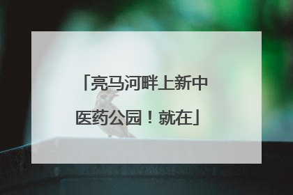 亮马河畔上新中医药公园！就在