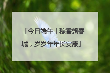 今日端午丨粽香飘春城，岁岁年年长安康