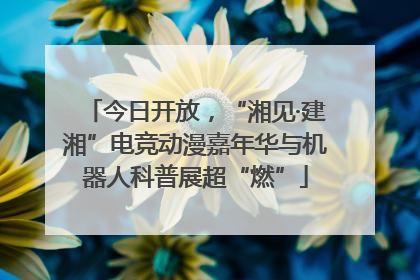 今日开放，“湘见·建湘”电竞动漫嘉年华与机器人科普展超“燃”